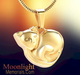 Kitty Sleeping Cat Pet Urn Cremation Necklace