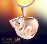 Kitty Sleeping Cat Pet Urn Cremation Necklace